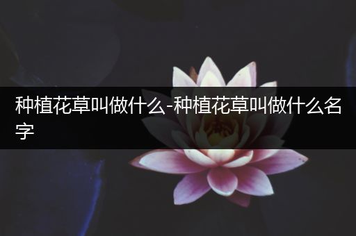 种植花草叫做什么-种植花草叫做什么名字