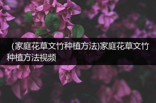 （家庭花草文竹种植方法)家庭花草文竹种植方法视频