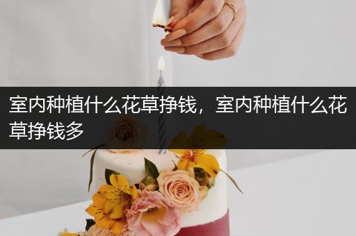 室内种植什么花草挣钱，室内种植什么花草挣钱多