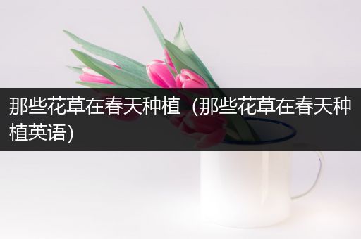 那些花草在春天种植（那些花草在春天种植英语）