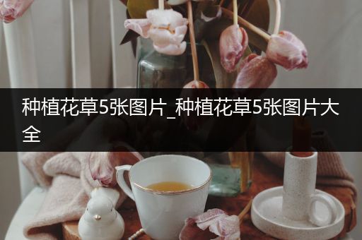 种植花草5张图片_种植花草5张图片大全