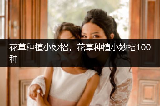花草种植小妙招，花草种植小妙招100种
