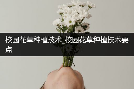 校园花草种植技术_校园花草种植技术要点