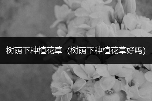 树荫下种植花草（树荫下种植花草好吗）