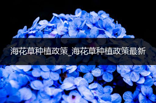 海花草种植政策_海花草种植政策最新