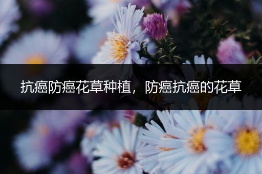 抗癌防癌花草种植，防癌抗癌的花草