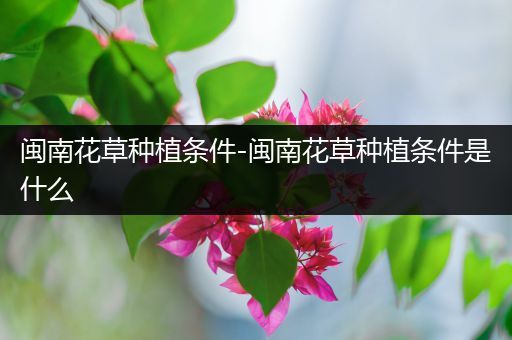 闽南花草种植条件-闽南花草种植条件是什么