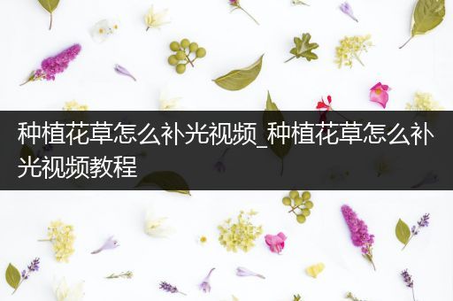 种植花草怎么补光视频_种植花草怎么补光视频教程