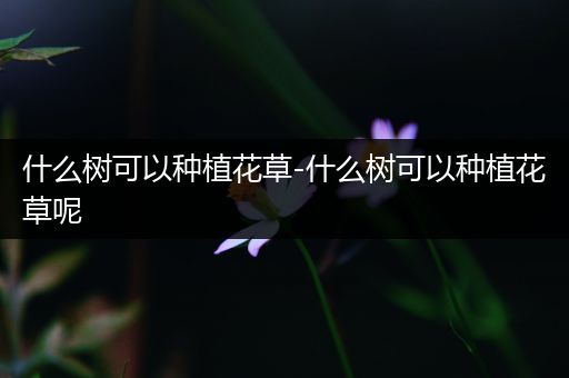 什么树可以种植花草-什么树可以种植花草呢
