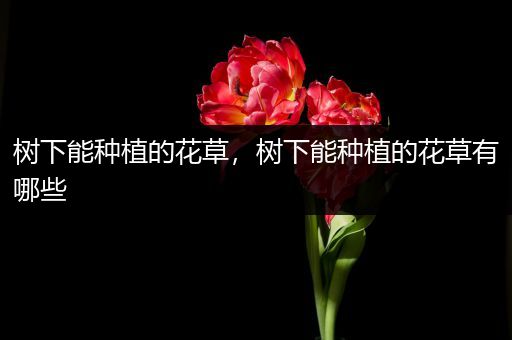 树下能种植的花草，树下能种植的花草有哪些