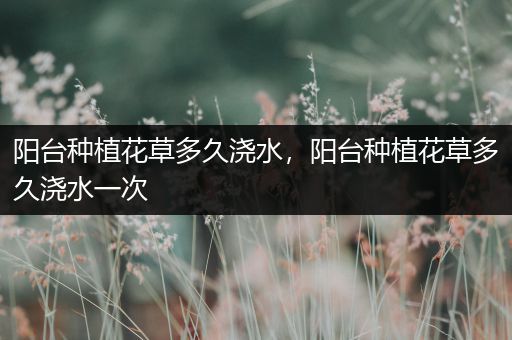 阳台种植花草多久浇水，阳台种植花草多久浇水一次