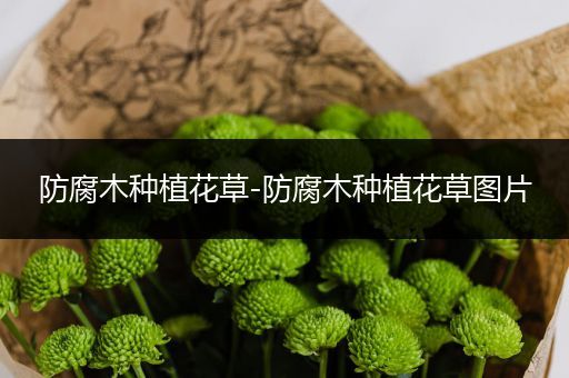 防腐木种植花草-防腐木种植花草图片