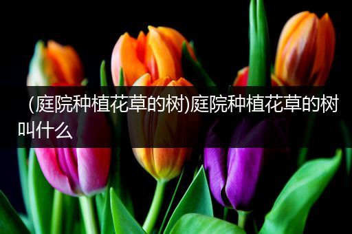 （庭院种植花草的树)庭院种植花草的树叫什么