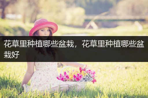 花草里种植哪些盆栽，花草里种植哪些盆栽好