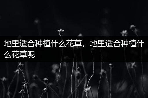 地里适合种植什么花草，地里适合种植什么花草呢