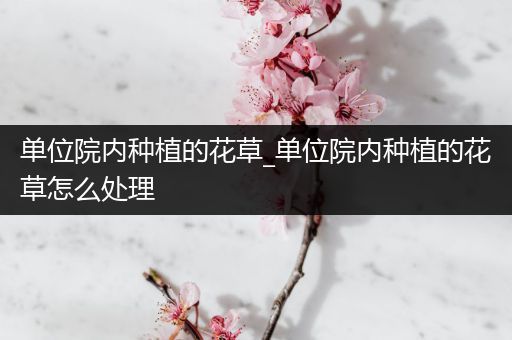 单位院内种植的花草_单位院内种植的花草怎么处理