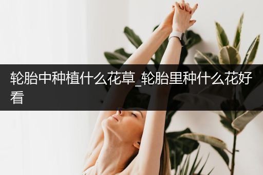 轮胎中种植什么花草_轮胎里种什么花好看