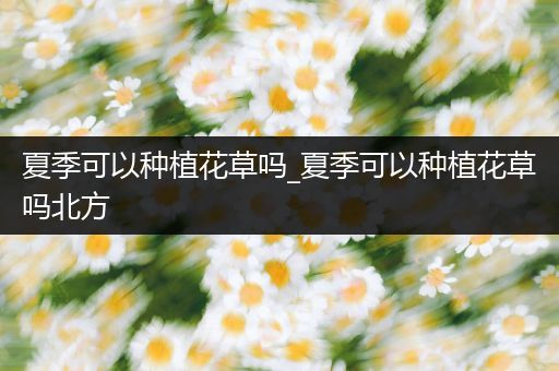 夏季可以种植花草吗_夏季可以种植花草吗北方