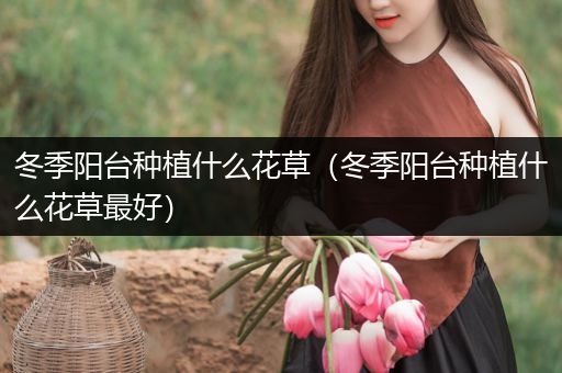冬季阳台种植什么花草（冬季阳台种植什么花草最好）
