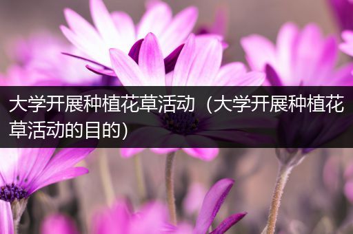 大学开展种植花草活动（大学开展种植花草活动的目的）