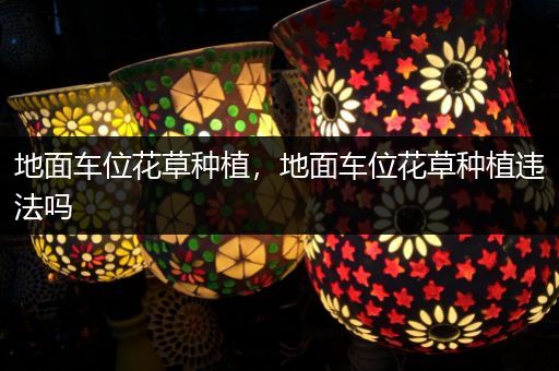 地面车位花草种植，地面车位花草种植违法吗