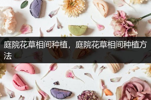 庭院花草相间种植，庭院花草相间种植方法