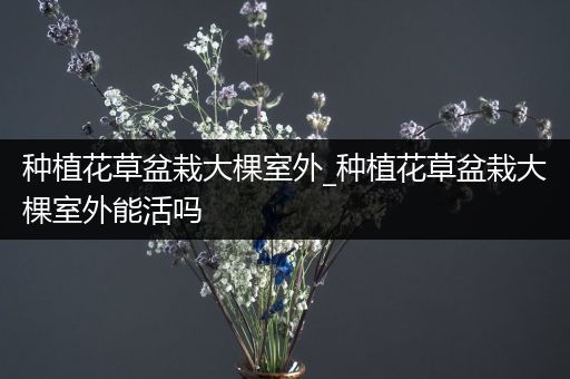 种植花草盆栽大棵室外_种植花草盆栽大棵室外能活吗