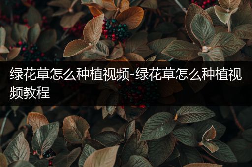 绿花草怎么种植视频-绿花草怎么种植视频教程