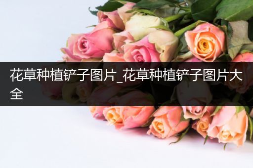 花草种植铲子图片_花草种植铲子图片大全