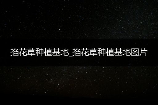 掐花草种植基地_掐花草种植基地图片