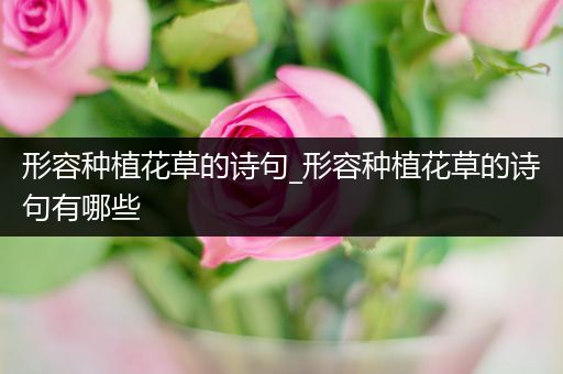 形容种植花草的诗句_形容种植花草的诗句有哪些