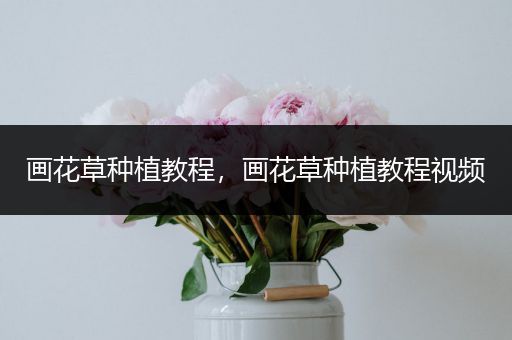 画花草种植教程，画花草种植教程视频