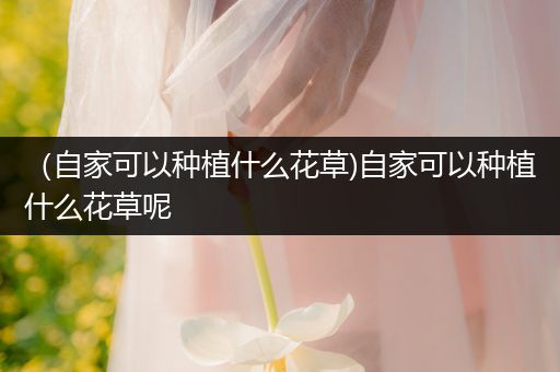 （自家可以种植什么花草)自家可以种植什么花草呢