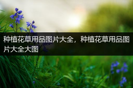 种植花草用品图片大全，种植花草用品图片大全大图