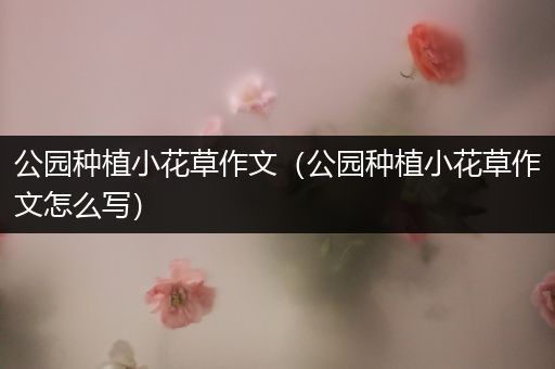 公园种植小花草作文（公园种植小花草作文怎么写）