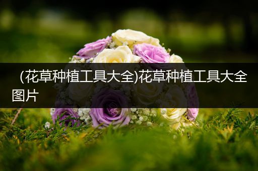 （花草种植工具大全)花草种植工具大全图片