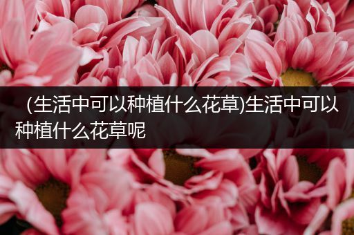 （生活中可以种植什么花草)生活中可以种植什么花草呢