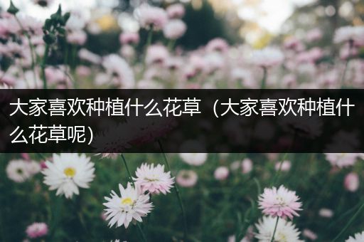 大家喜欢种植什么花草（大家喜欢种植什么花草呢）