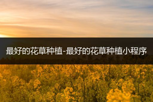 最好的花草种植-最好的花草种植小程序