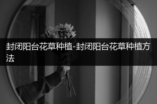 封闭阳台花草种植-封闭阳台花草种植方法