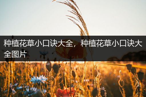 种植花草小口诀大全，种植花草小口诀大全图片