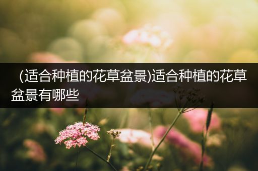 （适合种植的花草盆景)适合种植的花草盆景有哪些
