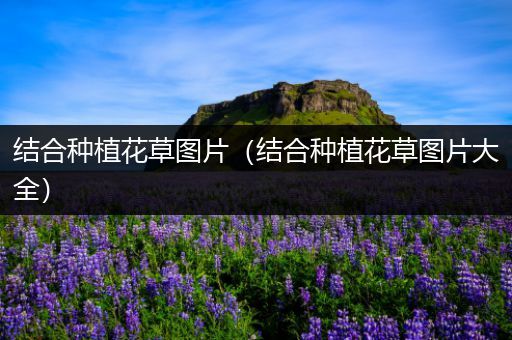 结合种植花草图片（结合种植花草图片大全）