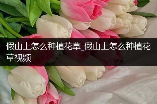 假山上怎么种植花草_假山上怎么种植花草视频