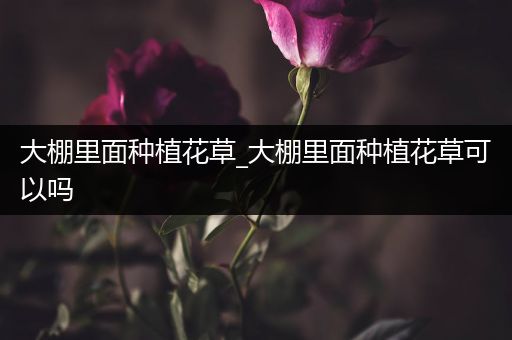大棚里面种植花草_大棚里面种植花草可以吗