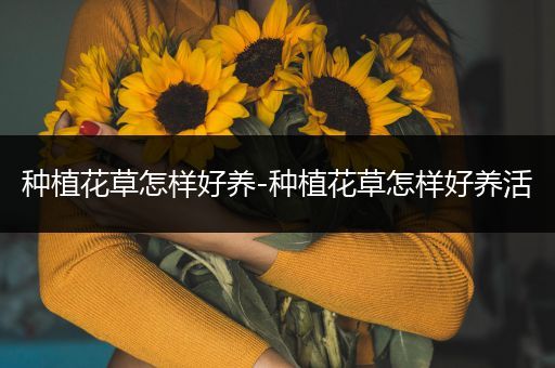 种植花草怎样好养-种植花草怎样好养活