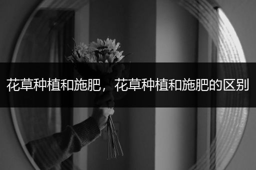 花草种植和施肥，花草种植和施肥的区别