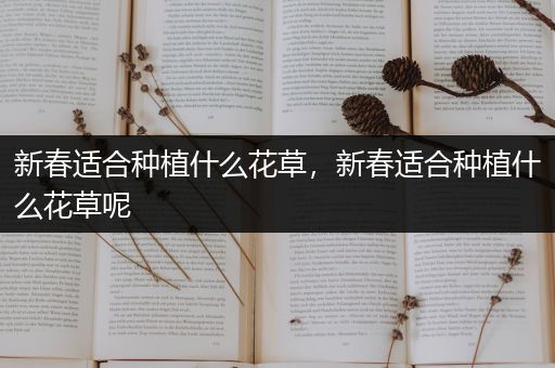 新春适合种植什么花草，新春适合种植什么花草呢