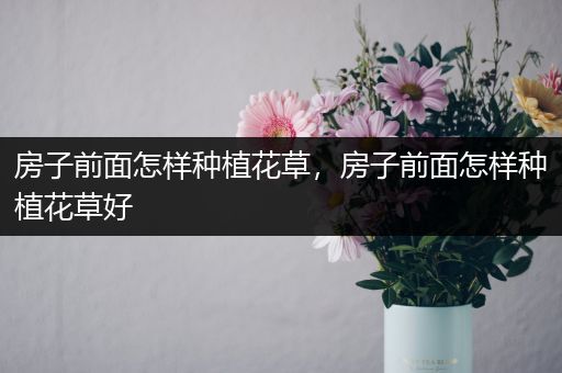 房子前面怎样种植花草，房子前面怎样种植花草好