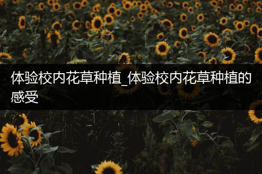 体验校内花草种植_体验校内花草种植的感受